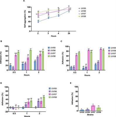 Potential probiotic and functional properties of Brettanomyces strains isolated from kombucha tea